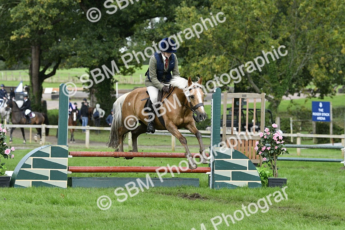SBM_42247 - S32 - Mountain & Moorland Working Hunter Pony