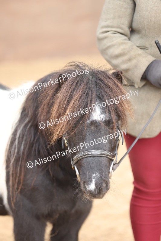 20251109-0409 - Class 15 - Coloureds