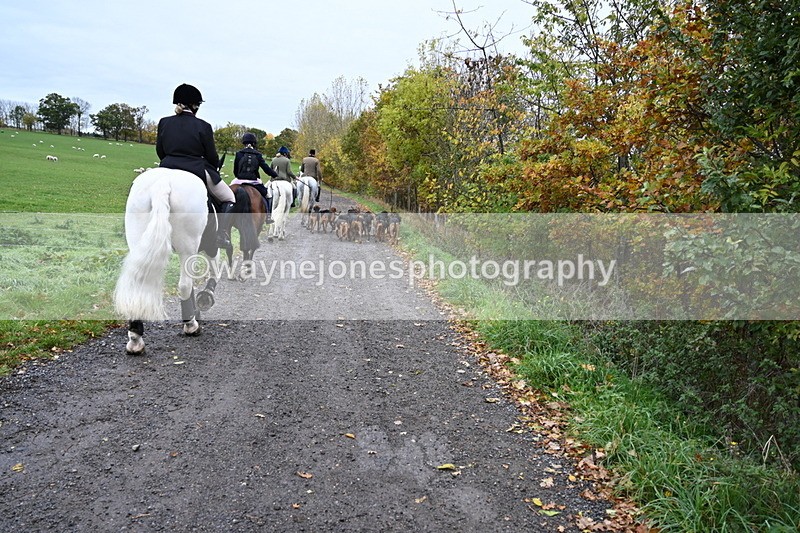 WJ6_9249 - Ride