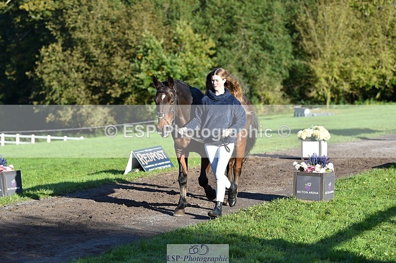 231022-094938-22052 - 494-WEST.FIELD.REBEL-Laura.Bilham-TrotUp+SJ