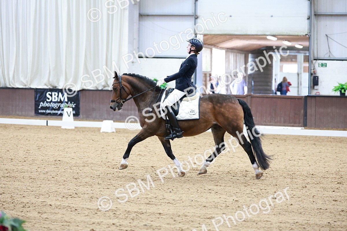 SBM_017150 - Class15 - FEI Pony