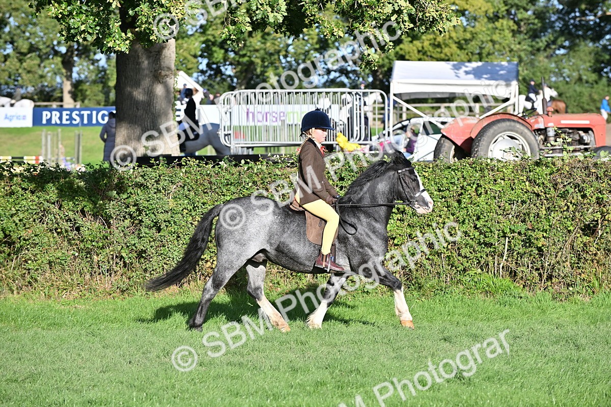 SBM_53028 - S23 - First Ridden Mountain & Moorland Pony