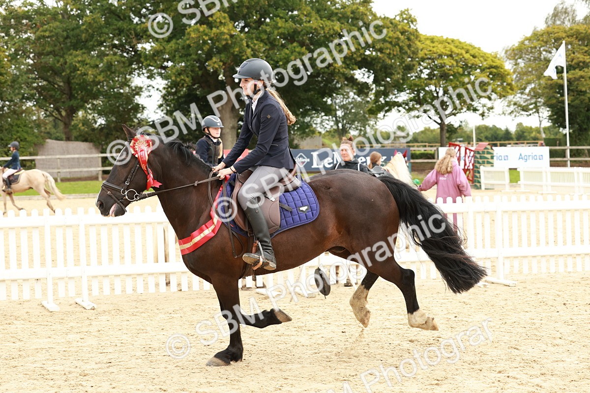 SBM_65345 - Supreme Championship 50cm & 55cm