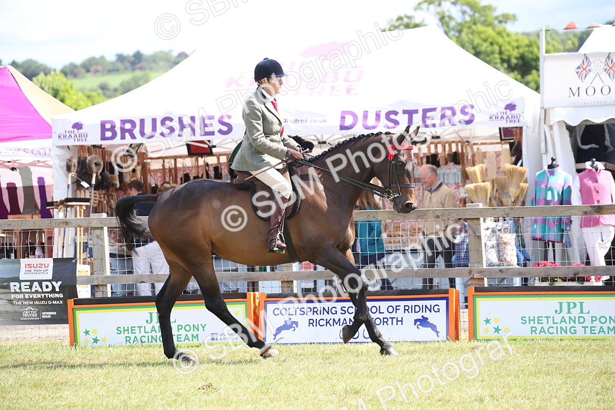 SBM_13345 - Class 95-96 - LIHS BSHA Rising Star Hack Riding Horse