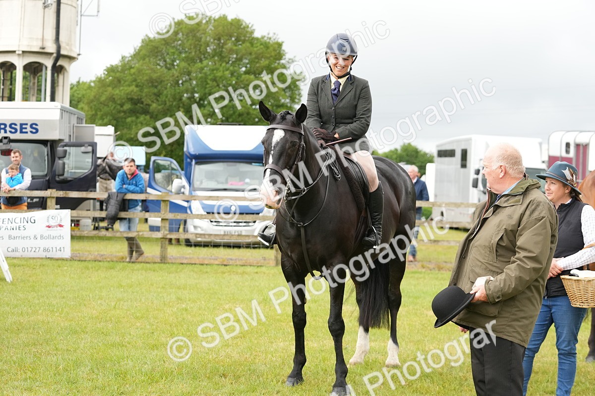 SBM_12788 - Class 97-98 - LIHS BSHA Rising Star Working Show Horse Hunter