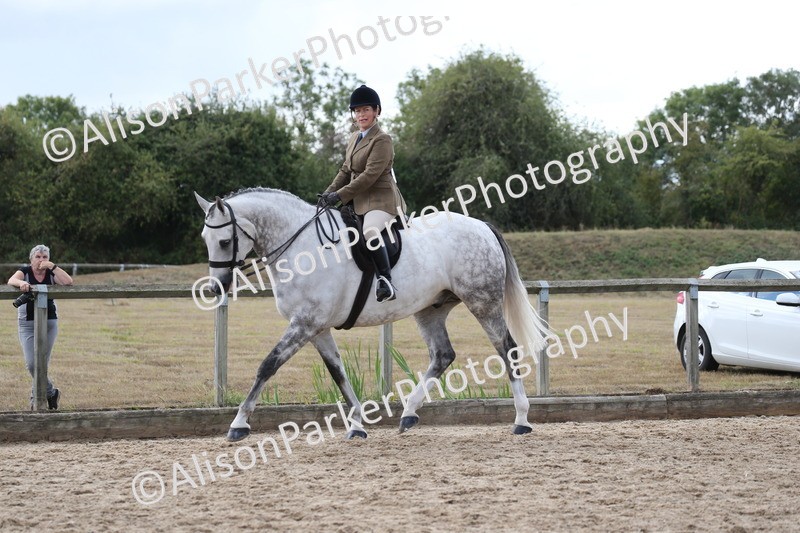 20260831-2755 - Class 16 and 17- Ridden Cob and Hunters