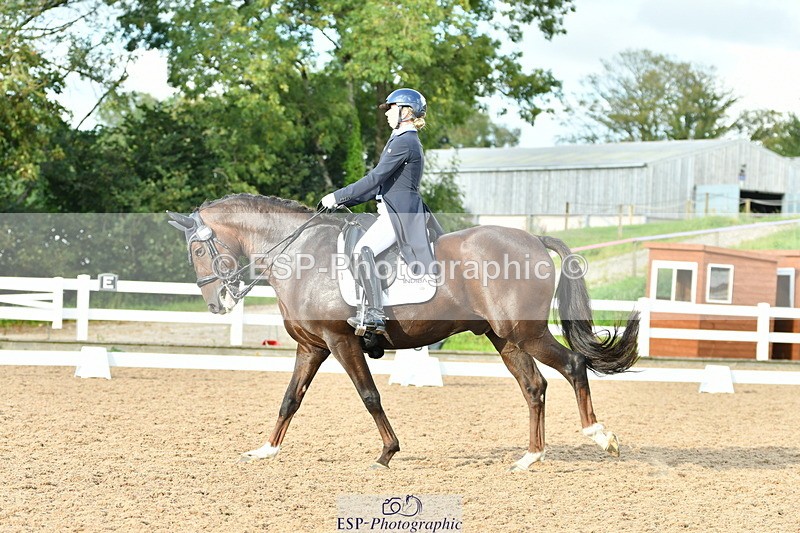 230912A-171432-01971 - Cls 23 FEI Grand Prix