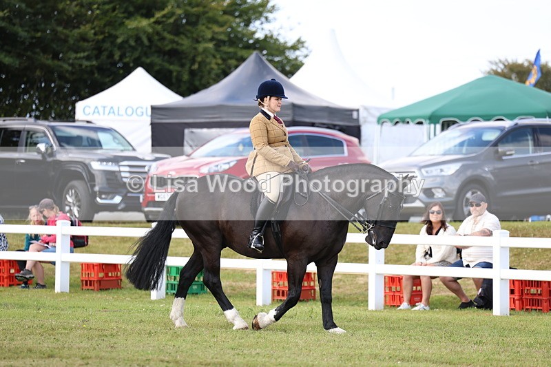 3E7A9630 - Class 5: Rising Star Lightweight/Heavyweight Cobs