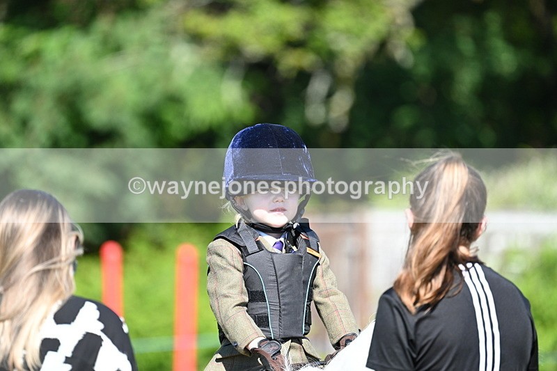WJ7_0562 - Class 8 First Rally Pony