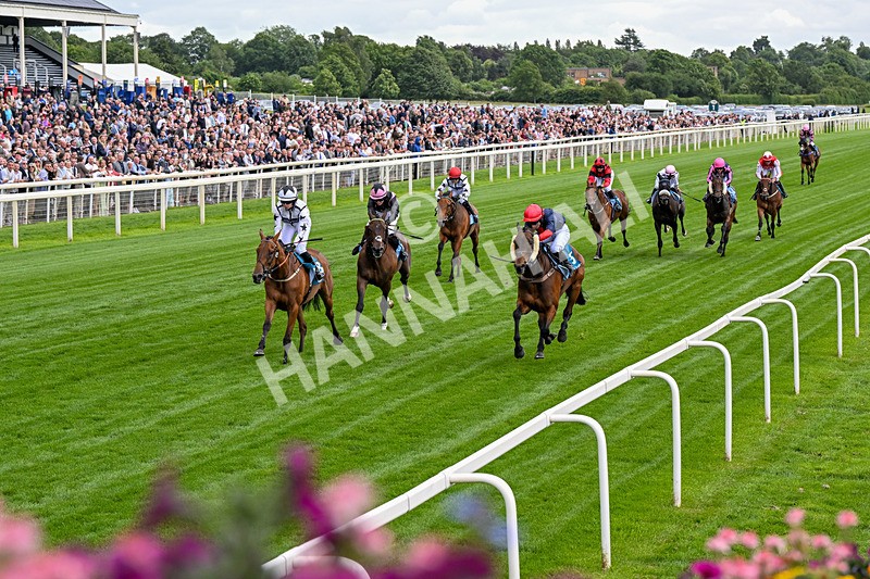130626-Race 1-Dunkeld Dreamer-0314 - Race 1 13.50pm Queen Mother's Cup Handicap