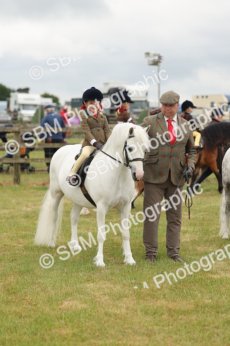 SBM_06744 - Class 74-75 - M&M Lead Rein and First Ridden Pony