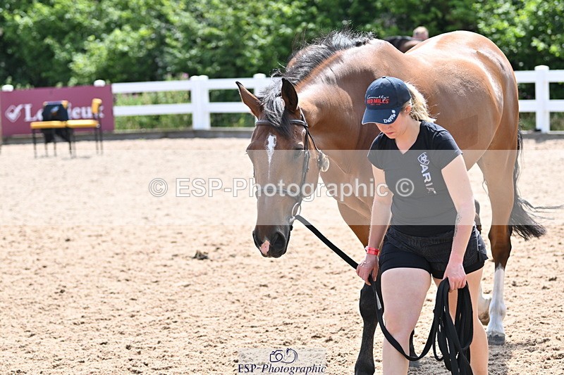 240717A-152416-02812 - Trot Up 3pm to 4pm