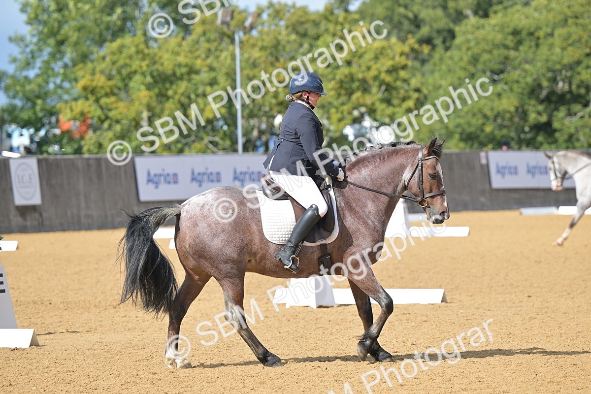 SBM_10941 - D3 - Small Tour Championship Intro 3