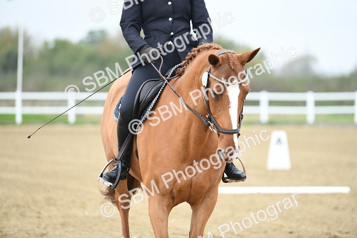 LAD_3741 - Novice Test 2