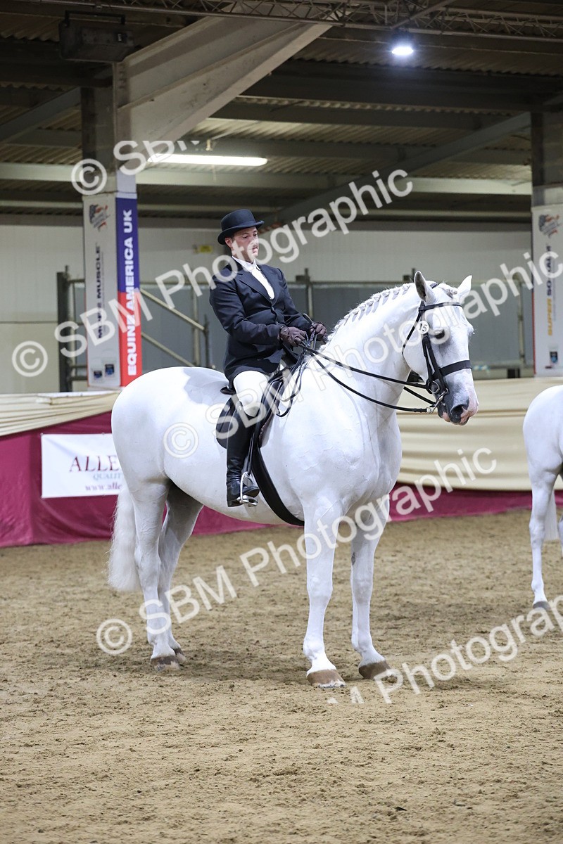 SBM_21176 - class Q - Ridden Horse Champ