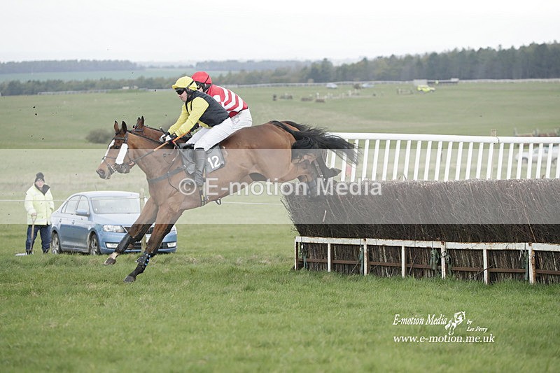 PtP 260323 0593 - New Forest Hounds Point-to-Point Larkhill 26/03/23