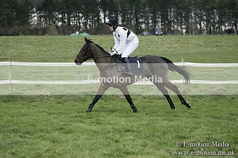 PtP 031217 365 - Hursley Hambledon Point-to-Point Larkhill 03/12/17