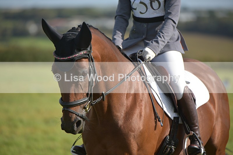 RAY_7529 - Class 2B: Trekenning Open: Dressage