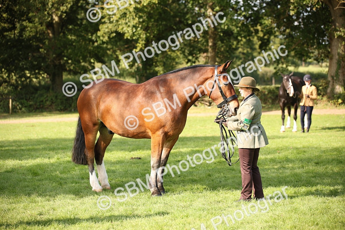 SBM_61198 - S54 - Show Cob In Hand