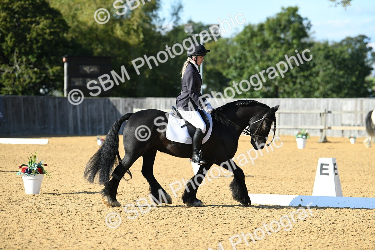 SBM_28462 - D16 - Small Tour Championship - Novice 28