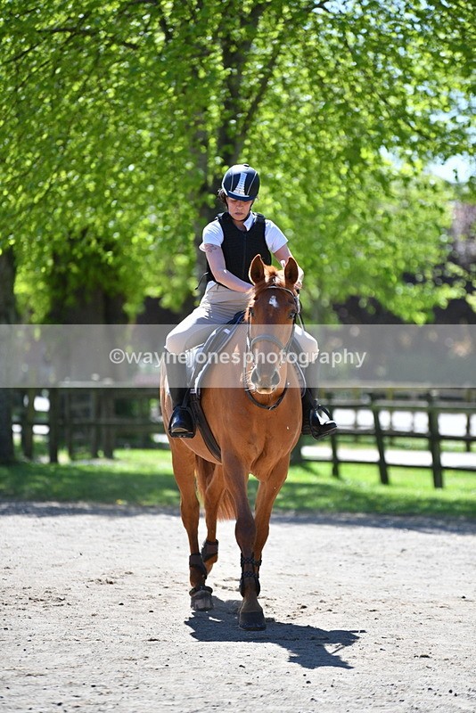 WJ5_7547 - 80cm time 12:47 to 13:39