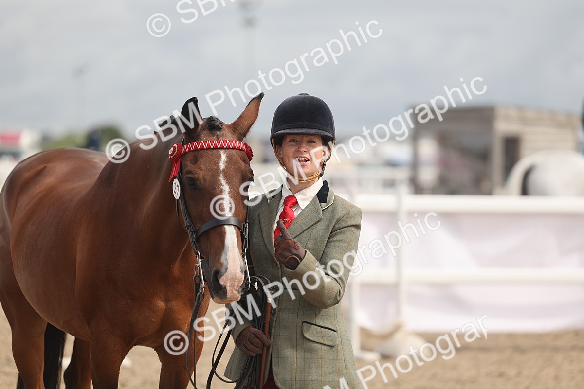 SBM_04462 - Class 18 - Handsomest Gelding (IH or Ridden)