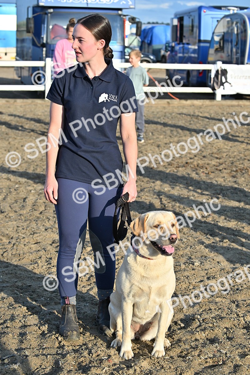SBM_09451 - Lorry Dogs