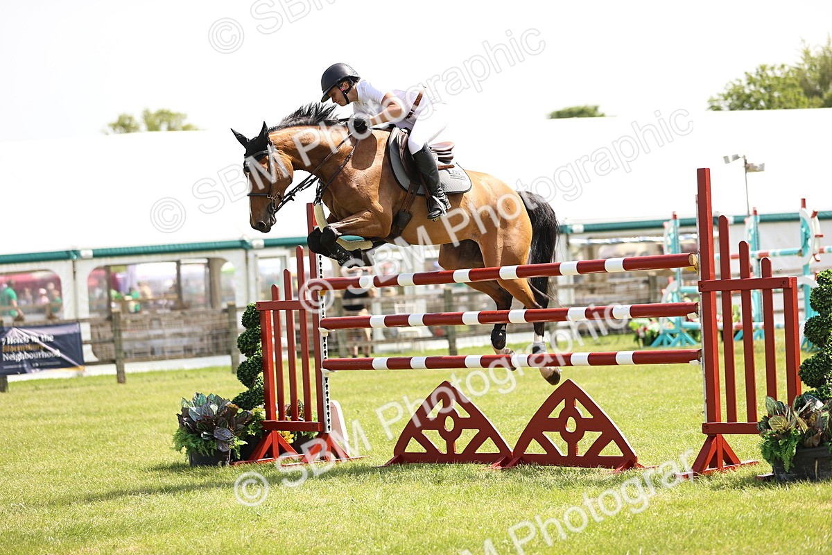 SBM_03956 - Class 201 - British Horse Feedds Speedi Beet HOYS Grade C