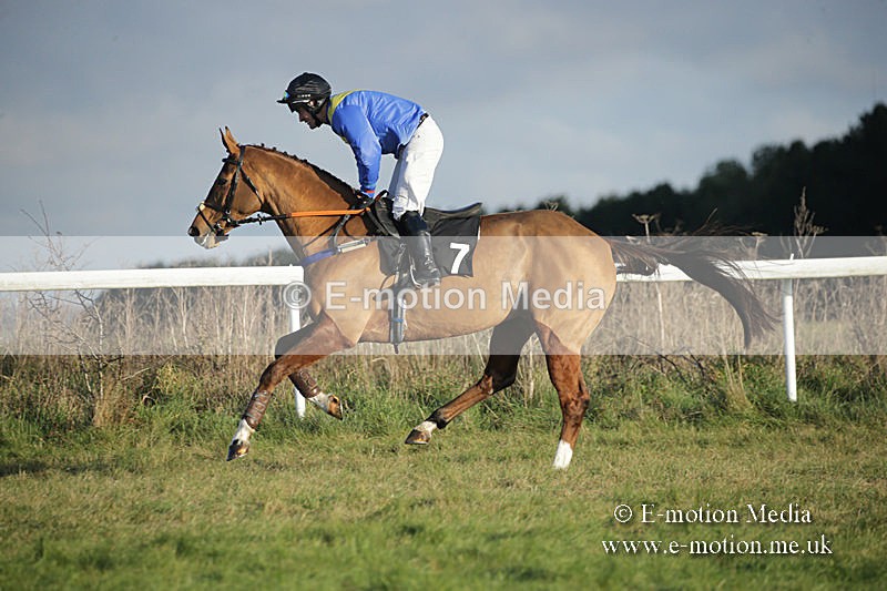 PtP 011219-0264 - Hursley Hambledon Hunt Point-to-Point 01/12/19