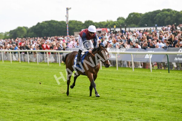 yr21052022r5-20 - Race 5: 4:07pm Phoebe Johnson Celebration EBF Restricted Novice Stakes