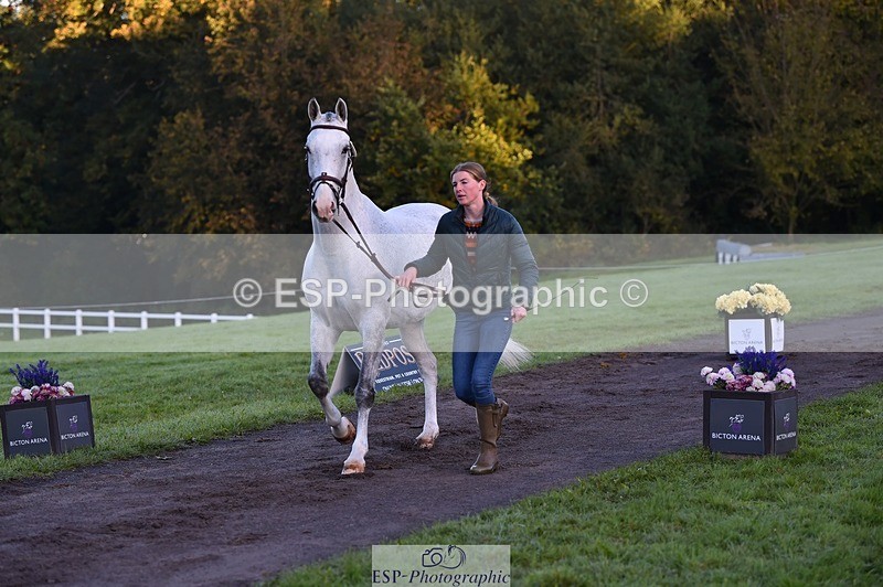 231022-084656-21354 - 631-BRIGHT.RINCO-Maisie.Morgan-TrotUp+SJ