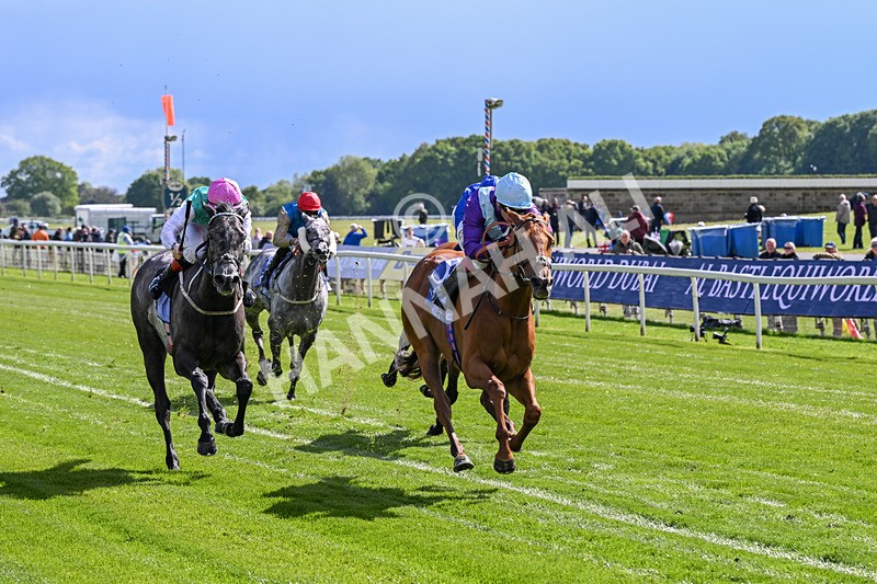 140526-Race 4-See The Fire-5166 - Race 4 3.30pm Al Basti Equiworld Dubai Middleton Fillies' Stakes