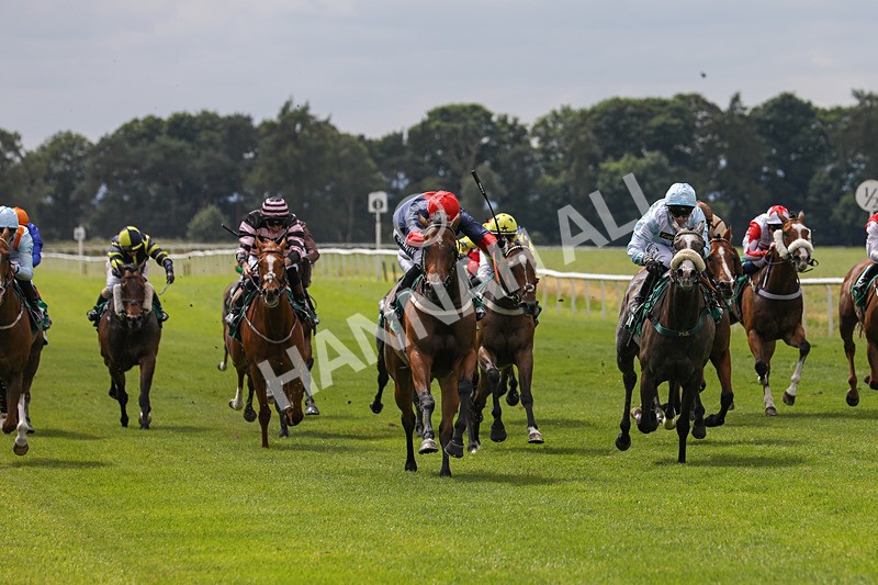 240624-Race 3-Eternal Sunshine-0179 - Race 3