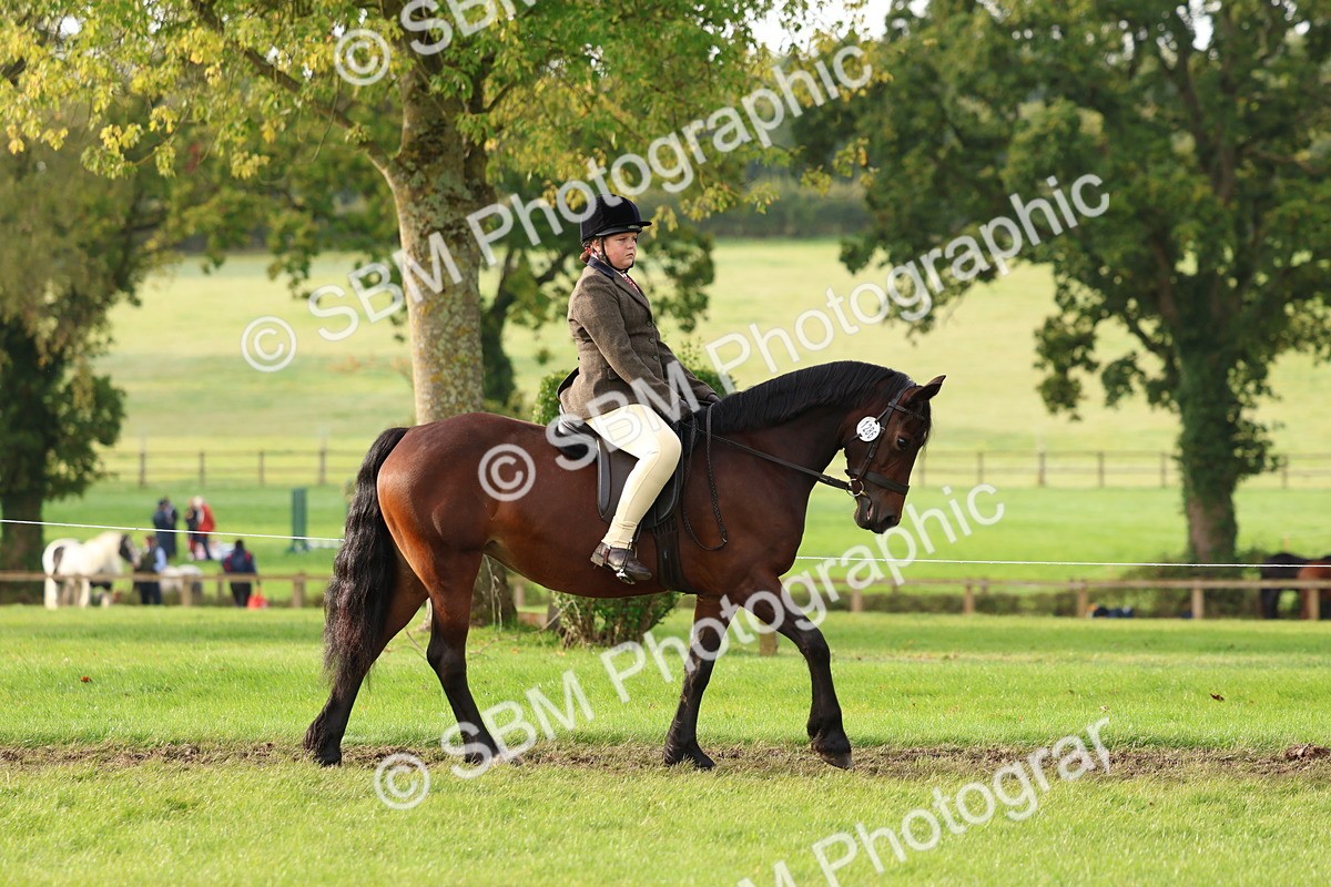 SBM_56544 - S40 - Starters Ridden Showing
