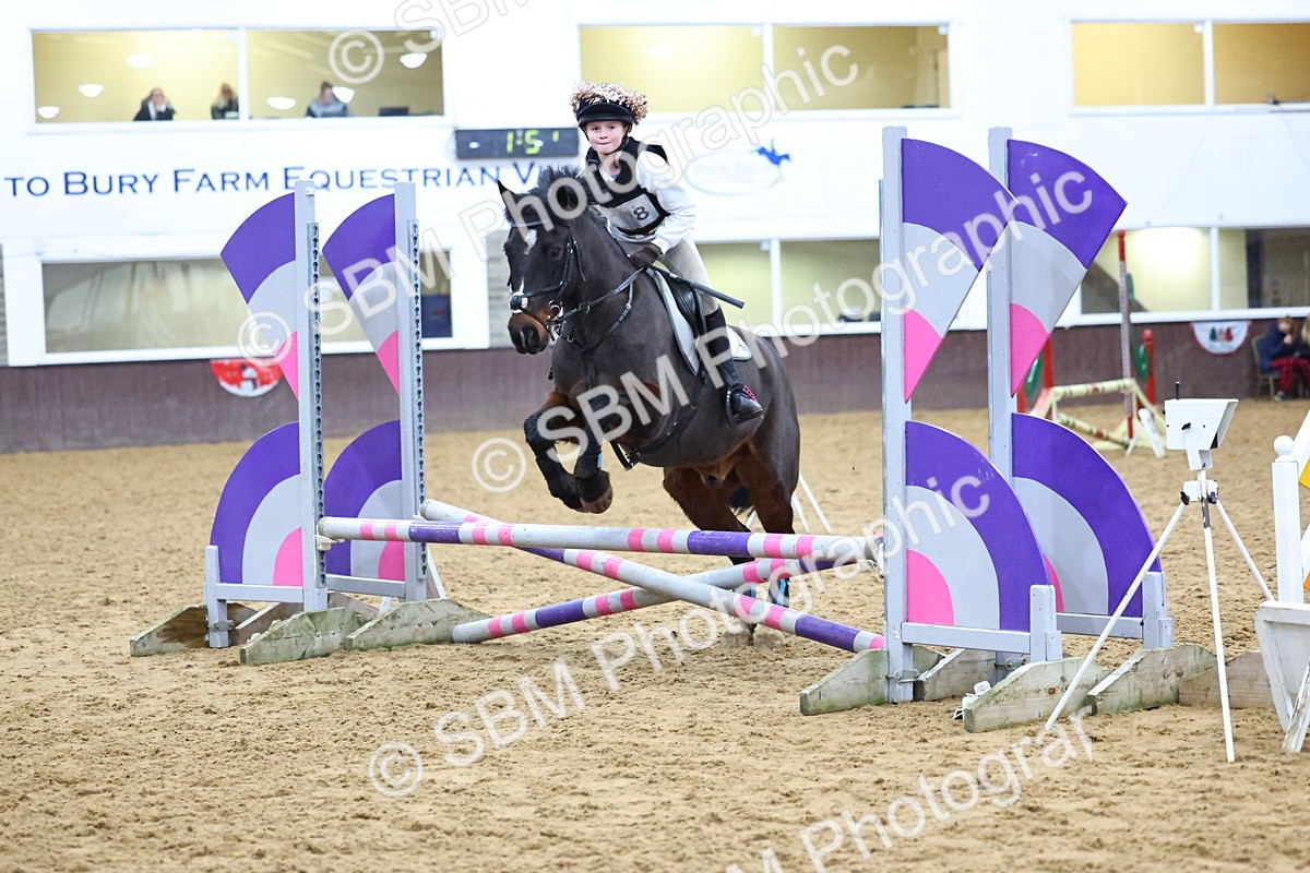 SBM_001409 - Class 3 - Christmas Tree Stakes - 60cm