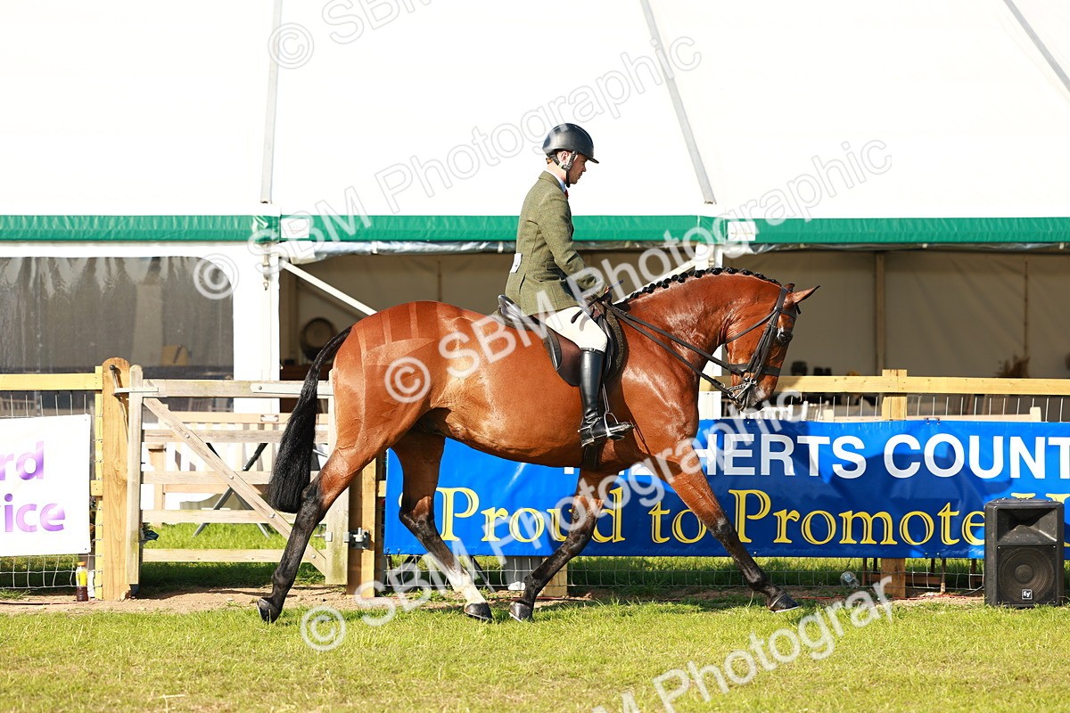 SBM_10718 - Class 66-69 - RIHS Ridden Hunters Inc Small Hunter