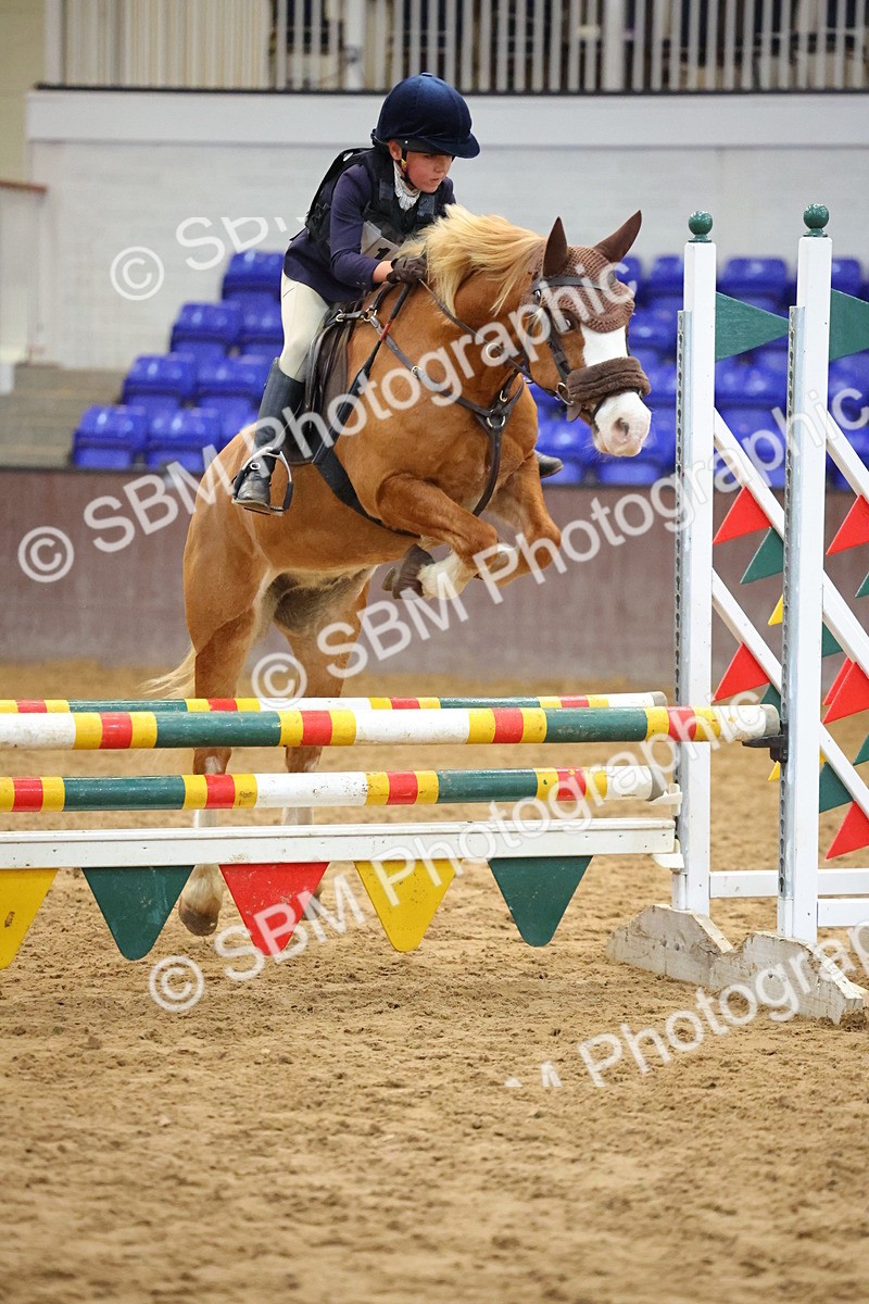 SBM_001803 - Class 5 - Show Jumping 80cm