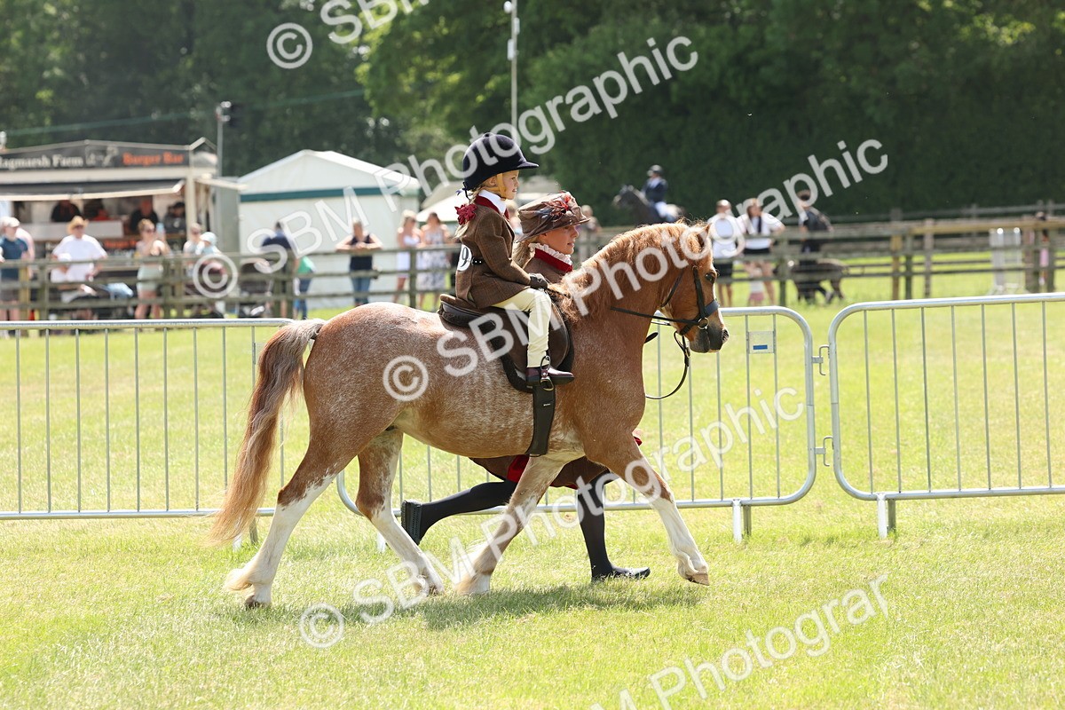 SBM_05227 - Class 24-25 - Mountain & Moorland In Hand Lead Rein and First Ridden