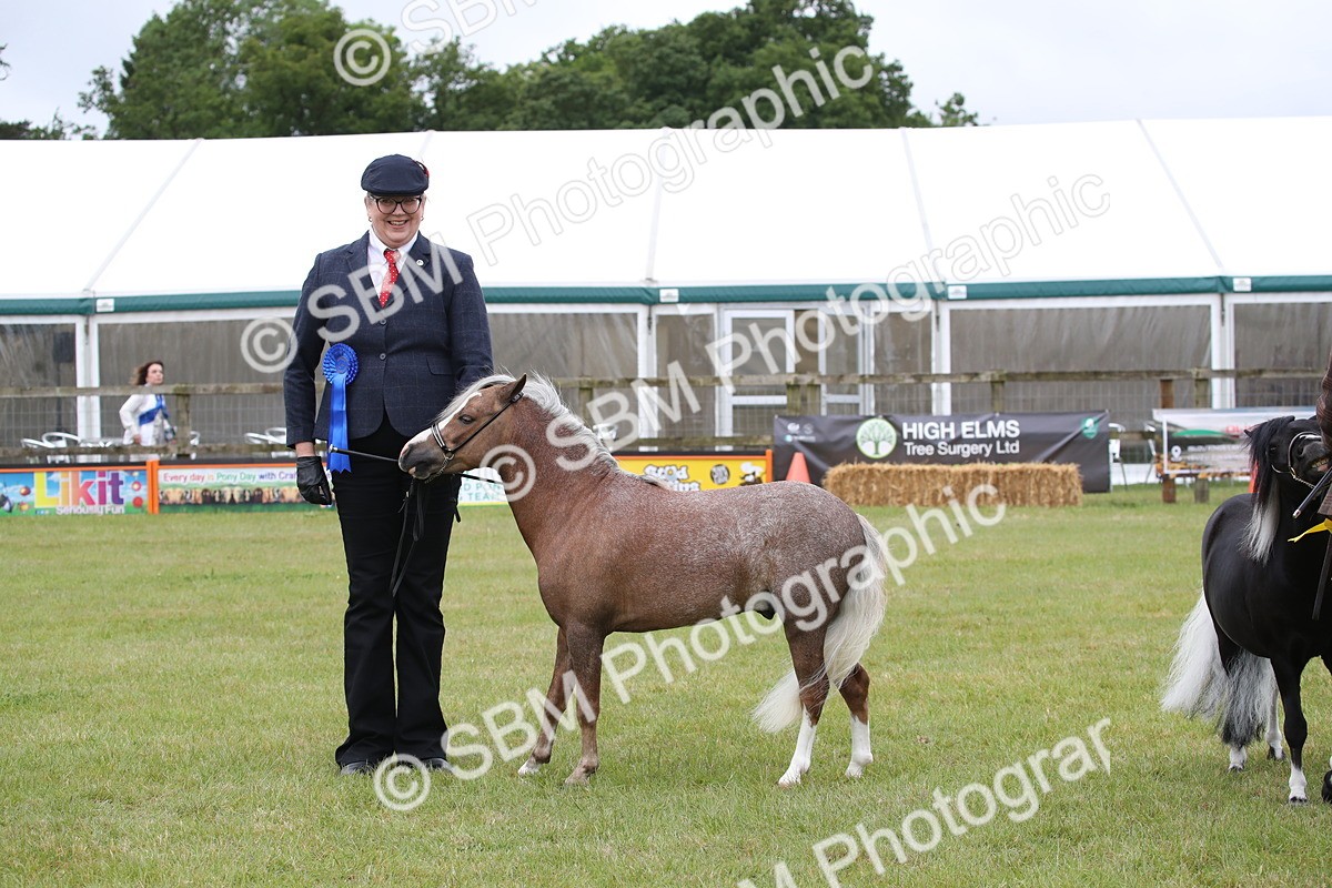 SBM_03832 - Class 23-25 - British Miniature Horse of the Year
