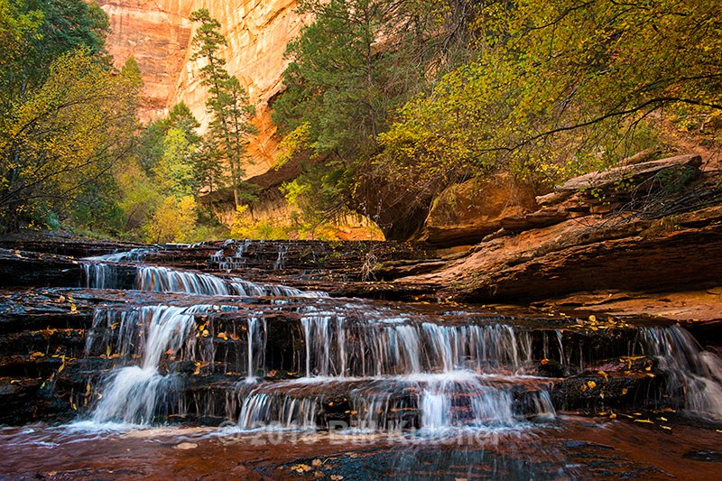 Arch Angel Falls H - Current Show