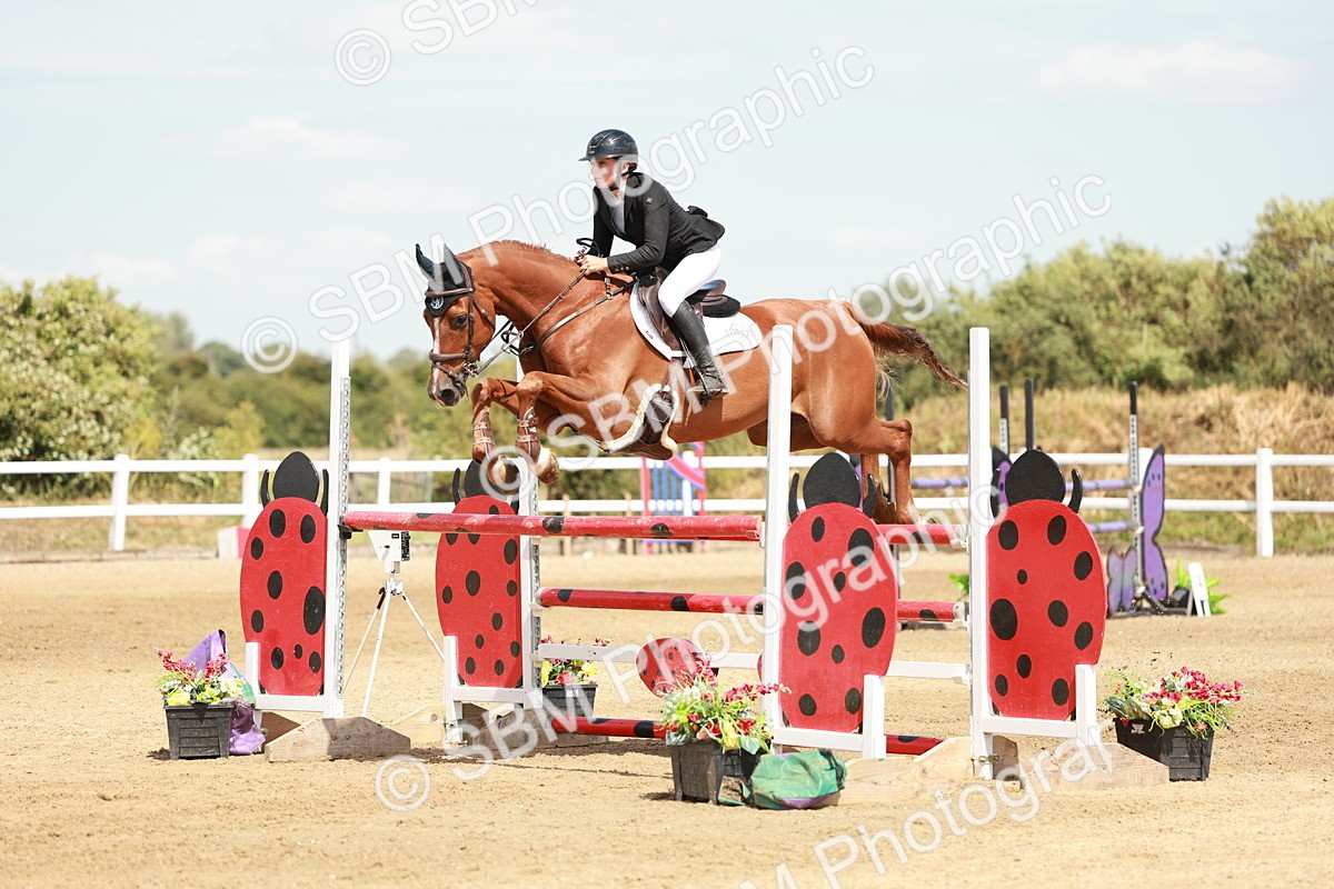 SBM_007797 - Class 4 - Senior Foxhunter - 1.20m Open
