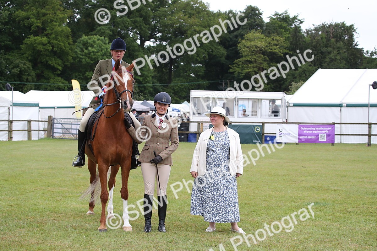 SBM_03649 - Class 21 - 22 - Ridden Arab and Part Bred/Anglo Arab