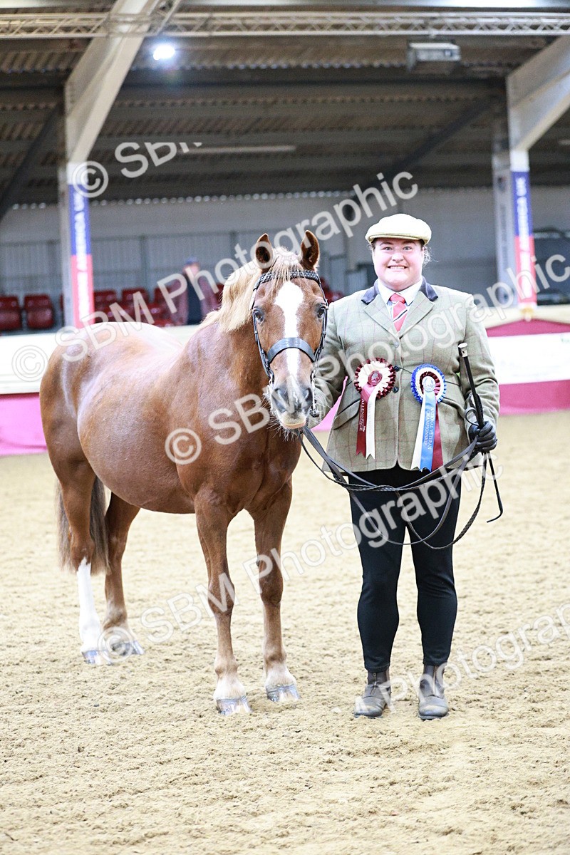 SBM_00341 - Class 1A - Area IH Diamond