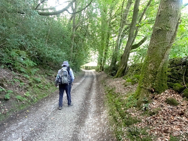 074 Our leader for the day leads us to lunch by Little Mill - York Minster Walkers Collection 2024