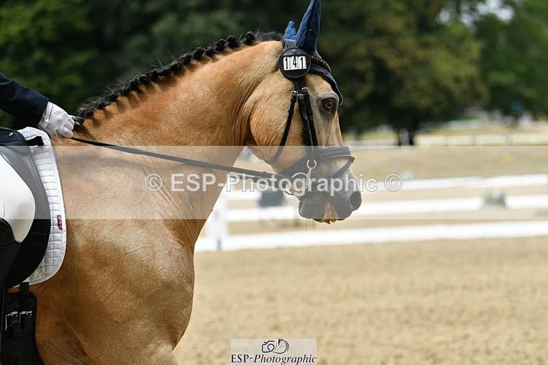 250718A-122723-01454 - 141-Chloe.Dunn-Towerhill.Shamie