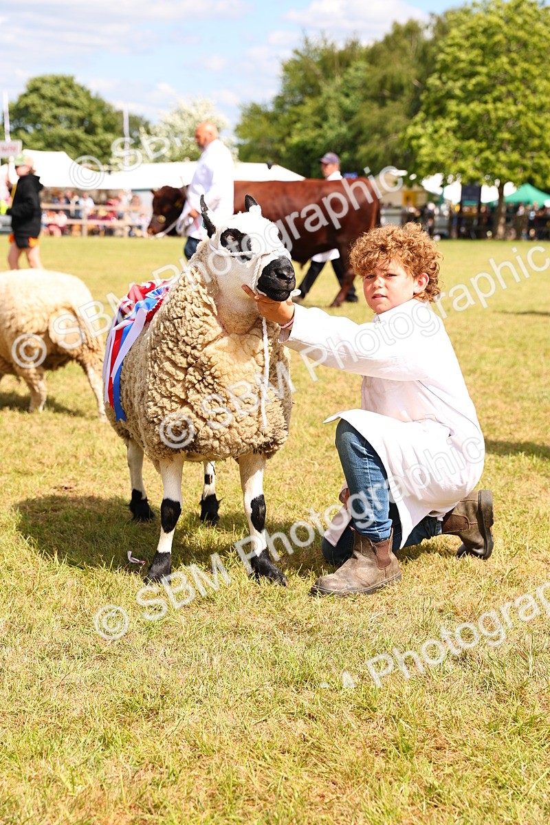 SBM_16975 - Grand Parade