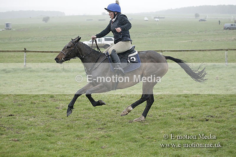 PtP 150320 0074 - New Forest Point-to-Point Larkhill 15/03/20