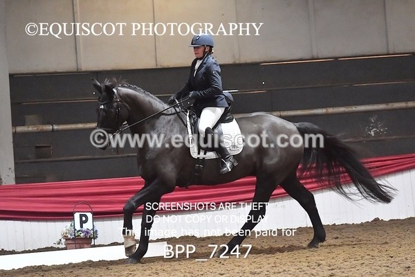 BPP_7247 - CLASS 6 NOVICE CHAMPIONSHIP TEST 5