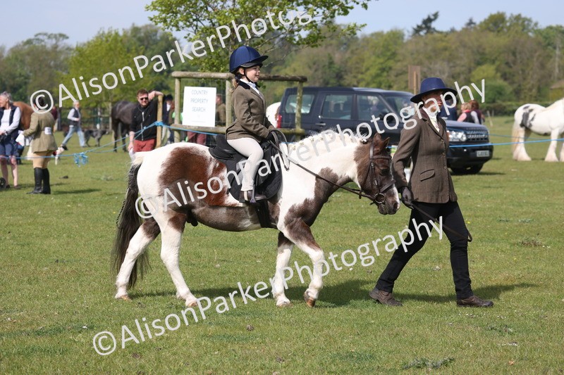 20260426-0575 - Class 31 - Leading Rein
