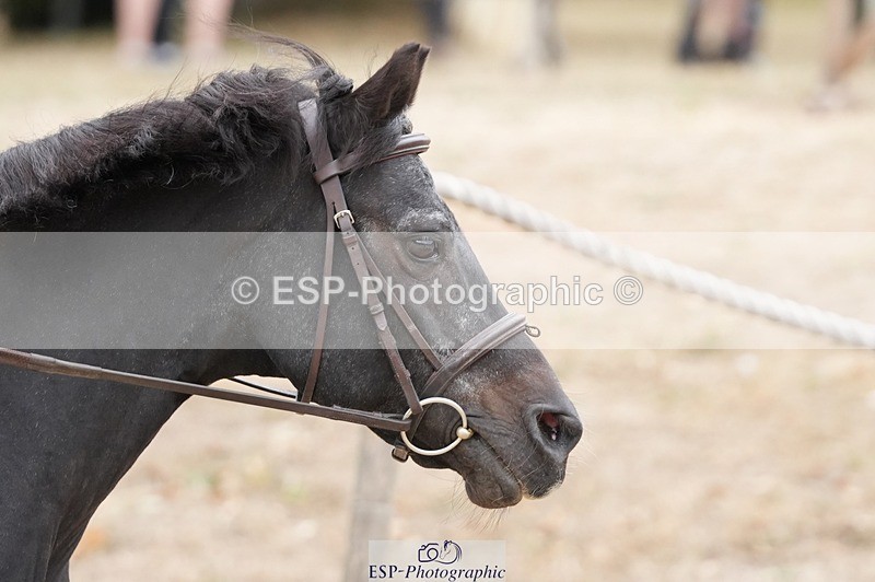 250820A-120246-06195 - Round 2, 11.45 to 12.30 End